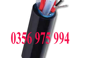 ống trích mẫu cems