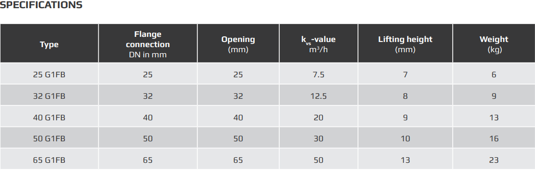1. G1FB Van điều Khiển 2-way G1FB DN25 Clorius – Poland - Wili Co., Ltd