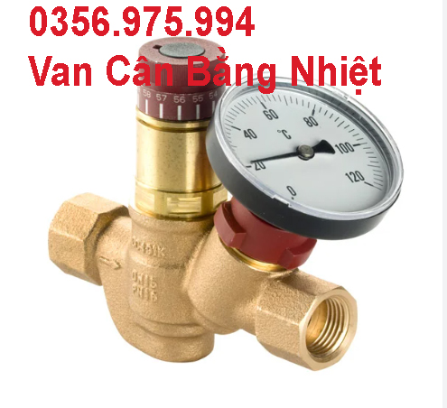 Van Cân Bằng Nhiệt Thermal Circulation Valves 5